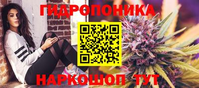 ГАЛЛЮЦИНОГЕННЫЕ ГРИБЫ Тула