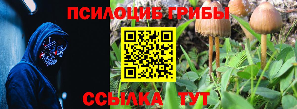 Псилоцибиновые грибы MAGIC MUSHROOMS Димитровград